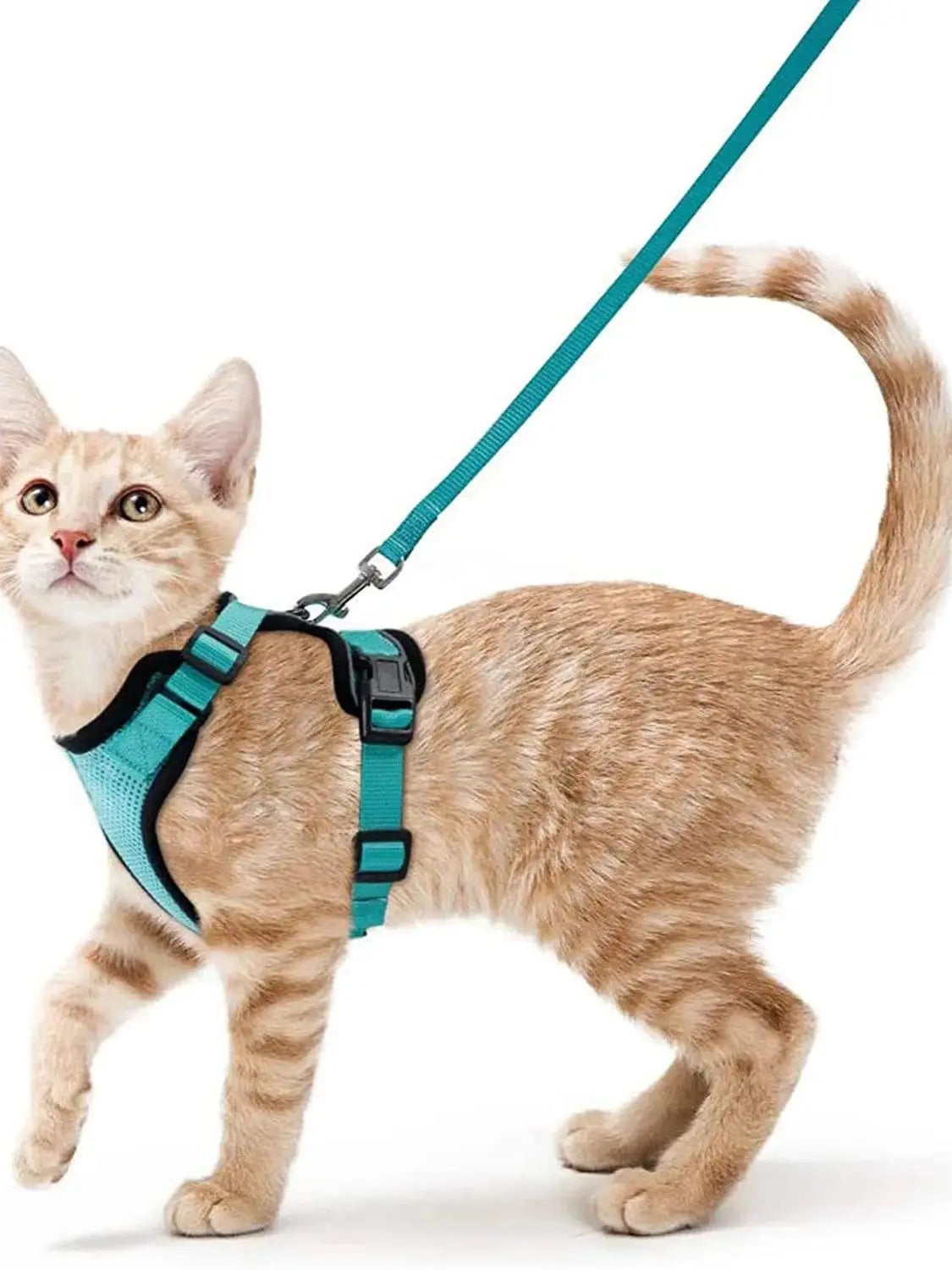 PurrStrap™ – Escape-Proof Adjustable Cat Harness & Leash Set