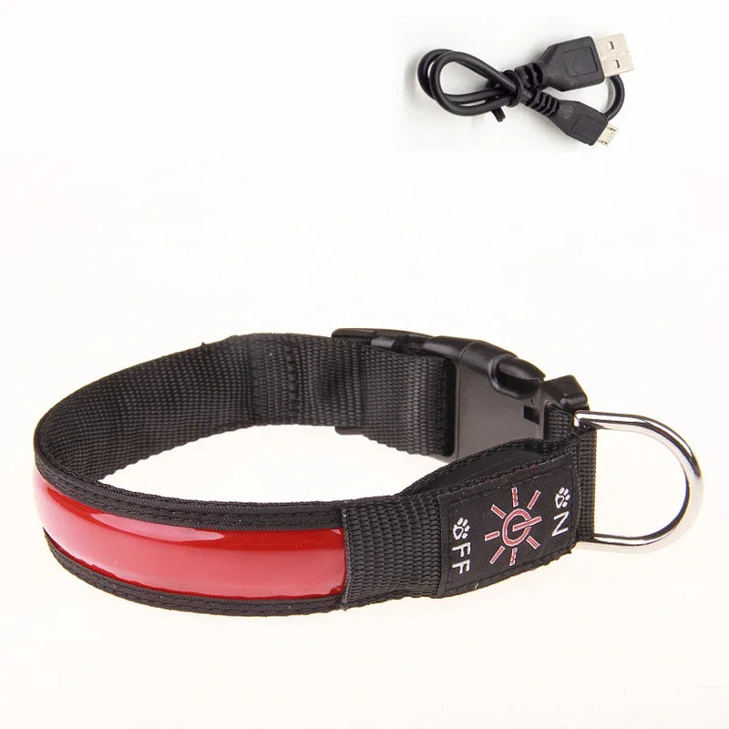 GlowPup™ LED Safety Collar – USB Rechargeable Night Light for Dogs