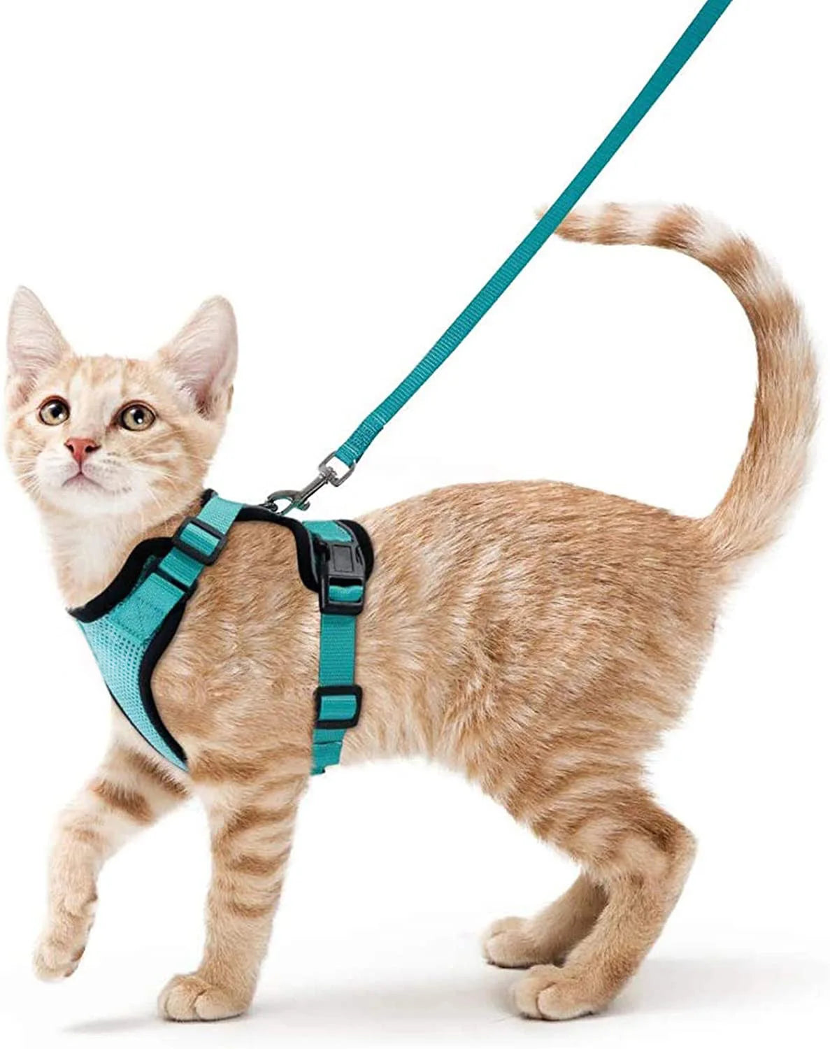 PurrStrap™ – Escape-Proof Adjustable Cat Harness & Leash Set