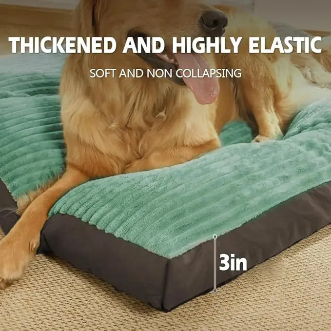 PawJoy™ Orthopedic Plush Dog Bed