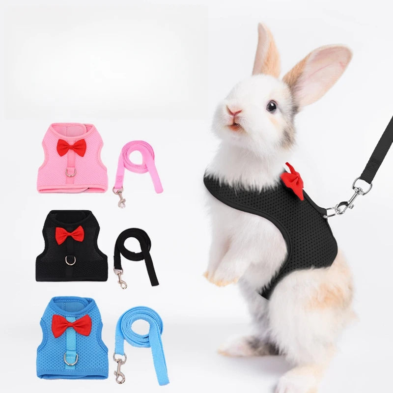 BunnyWalk™ Soft Harness & Leash