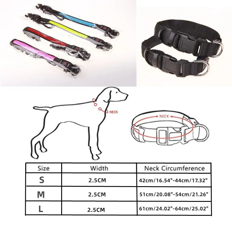 GlowPup™ LED Safety Collar – USB Rechargeable Night Light for Dogs