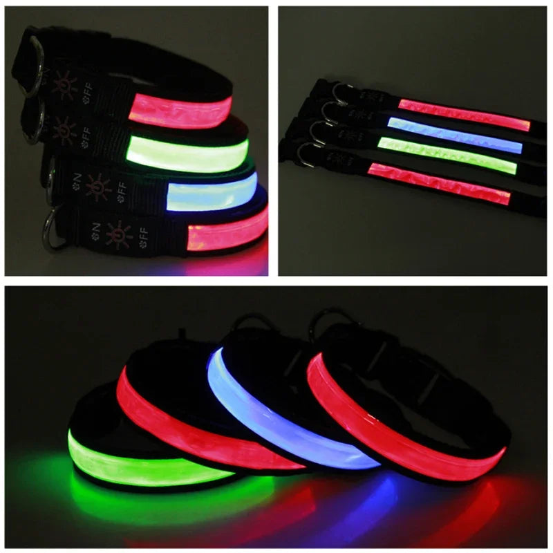 GlowPup™ LED Safety Collar – USB Rechargeable Night Light for Dogs