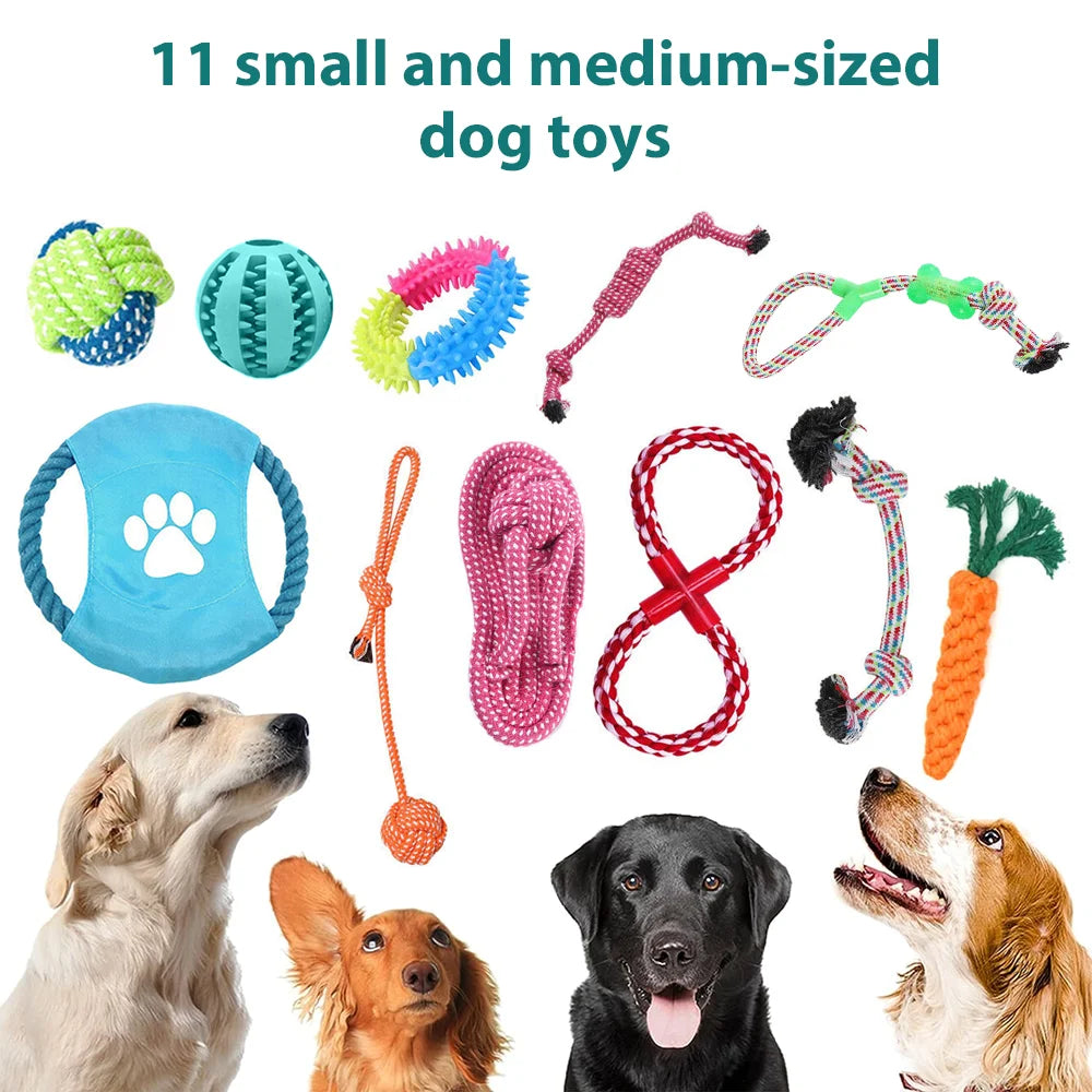 PawPlay™ Dog Toy Mega Pack – 5/10/12-Piece Chew & Tug Toy Set for Active Dogs