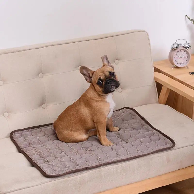 ChillPaw™ – Comfortable Cooling Mat for Dogs of All Sizes, Washable & Stress-Relieving