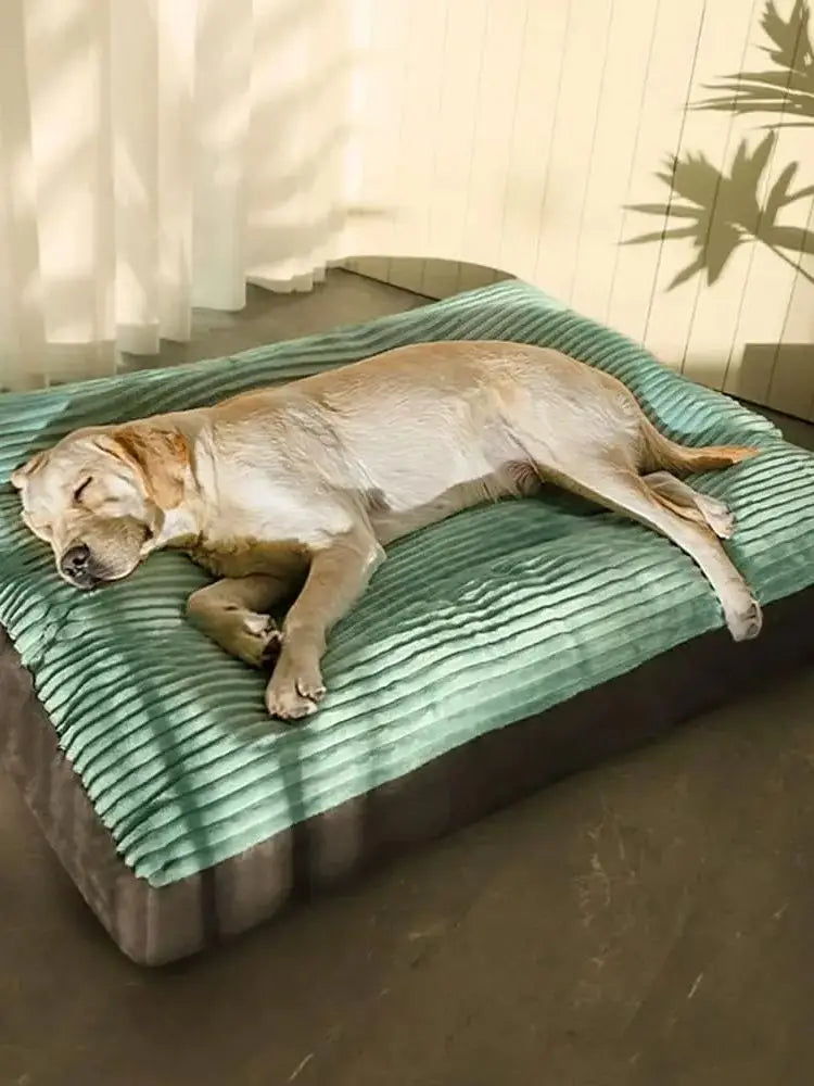 PawJoy™ Orthopedic Plush Dog Bed