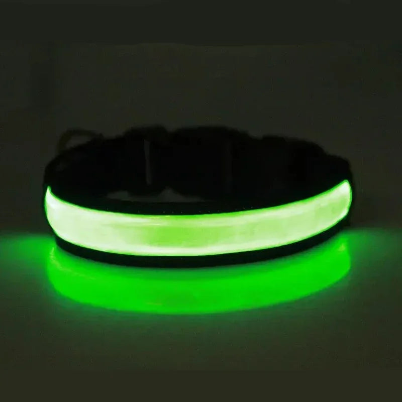 GlowPup™ LED Safety Collar – USB Rechargeable Night Light for Dogs