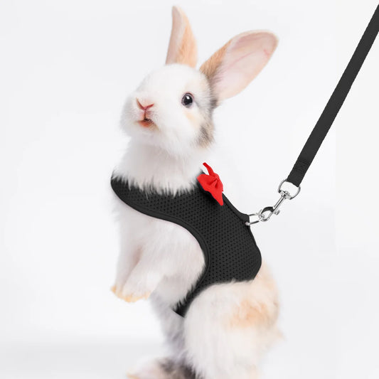 BunnyWalk™ Soft Harness & Leash