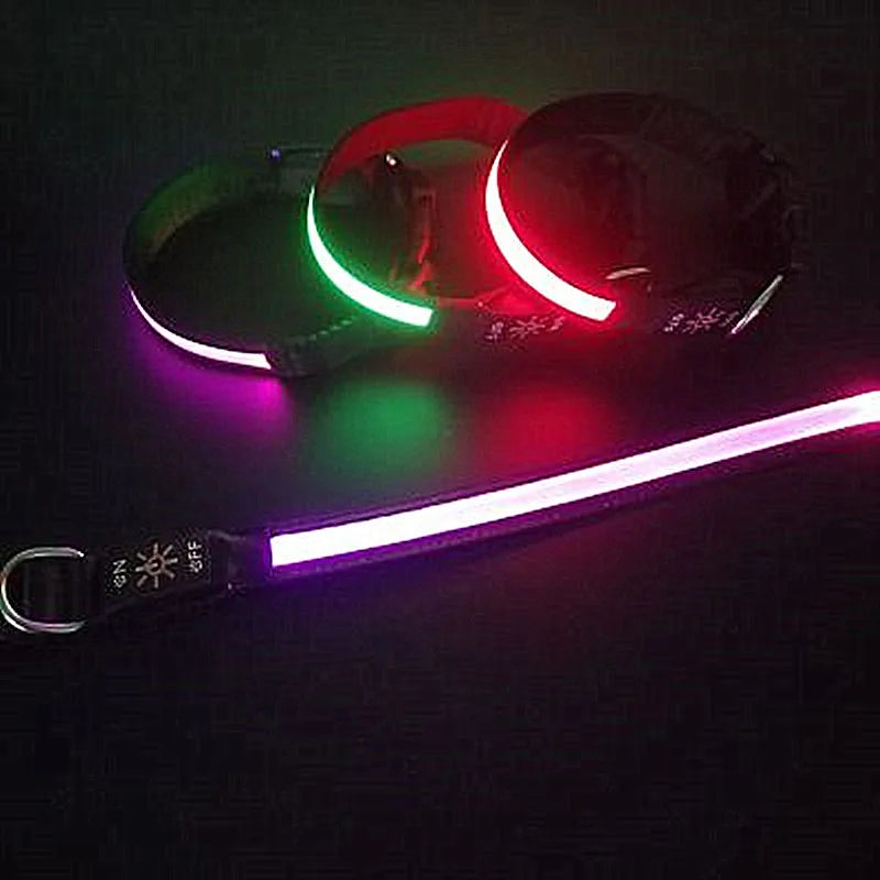 GlowPup™ LED Safety Collar – USB Rechargeable Night Light for Dogs