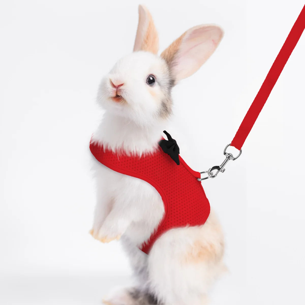 BunnyWalk™ Soft Harness & Leash