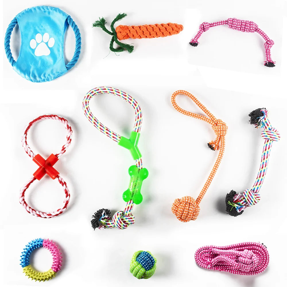 PawPlay™ Dog Toy Mega Pack – 5/10/12-Piece Chew & Tug Toy Set for Active Dogs