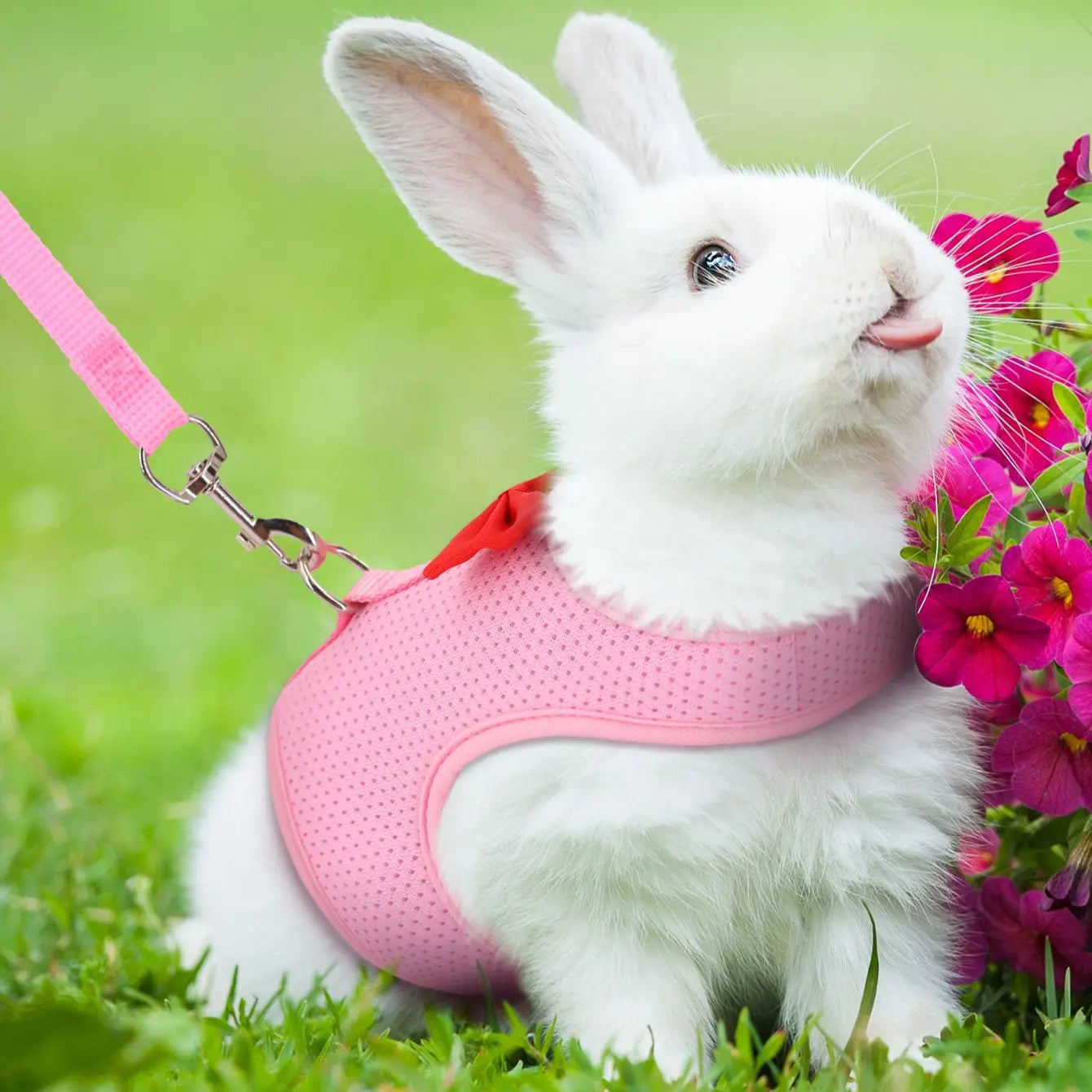BunnyWalk™ Soft Harness & Leash