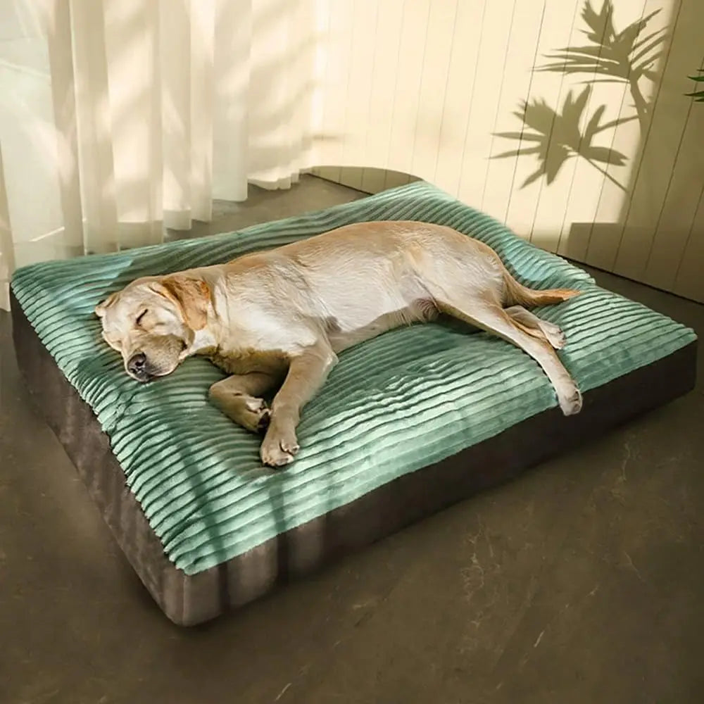 PawJoy™ Orthopedic Plush Dog Bed