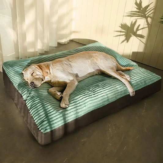 PawJoy™ Orthopedic Plush Dog Bed