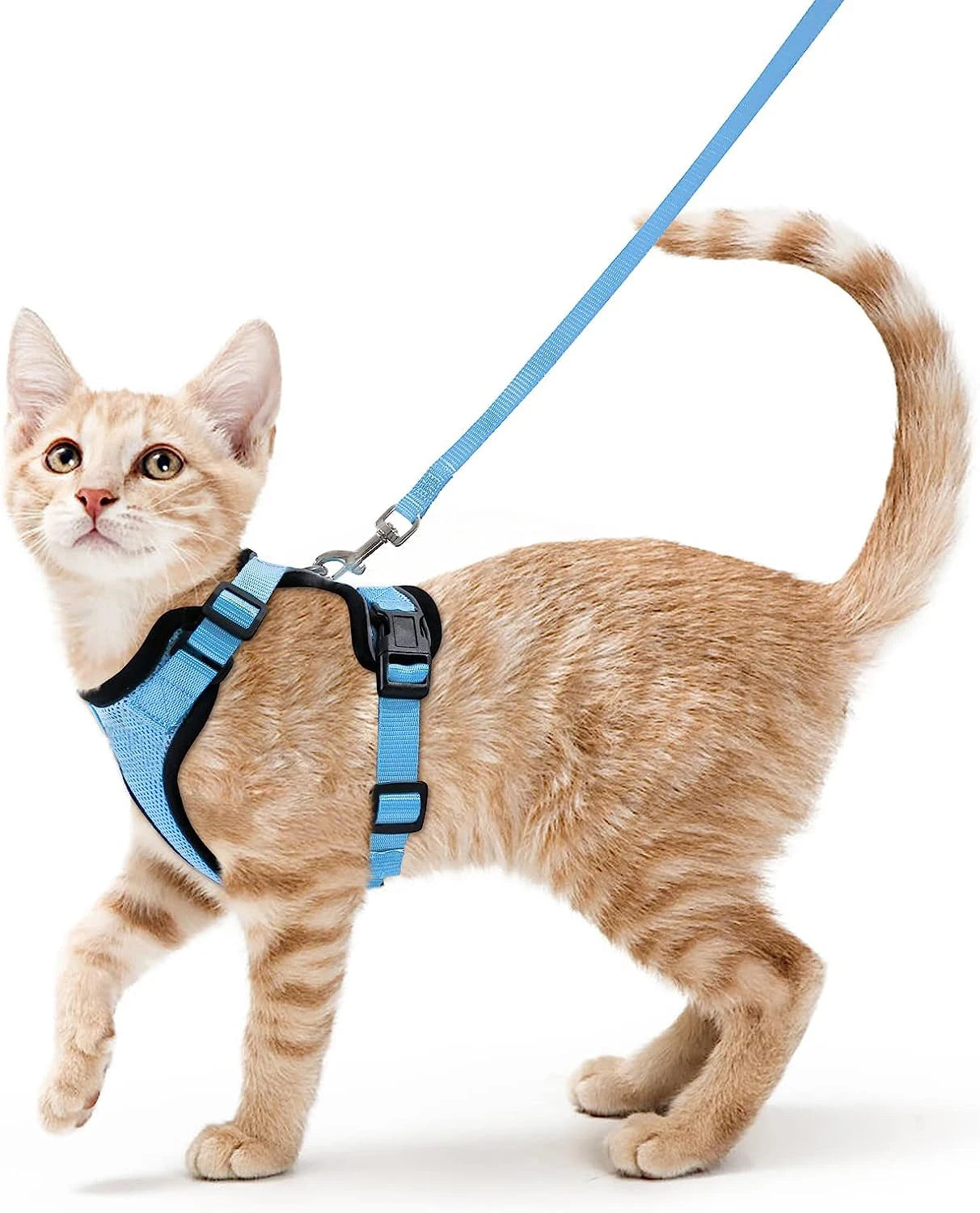 PurrStrap™ – Escape-Proof Adjustable Cat Harness & Leash Set
