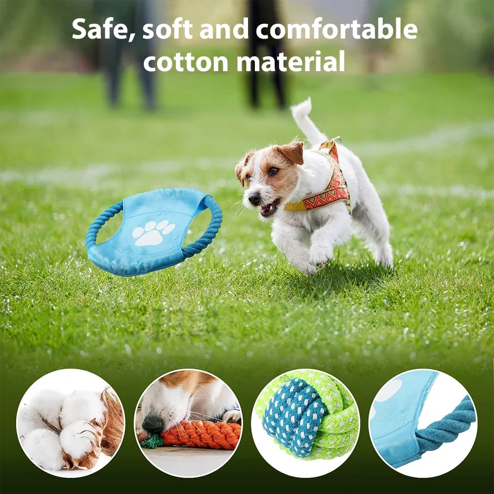 PawPlay™ Dog Toy Mega Pack – 5/10/12-Piece Chew & Tug Toy Set for Active Dogs