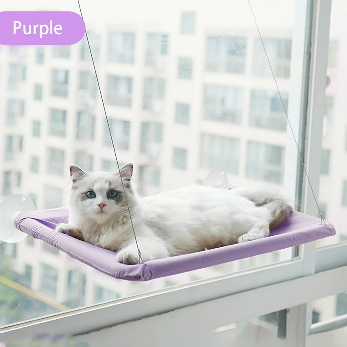 SunnyPaws™ Window Hammock