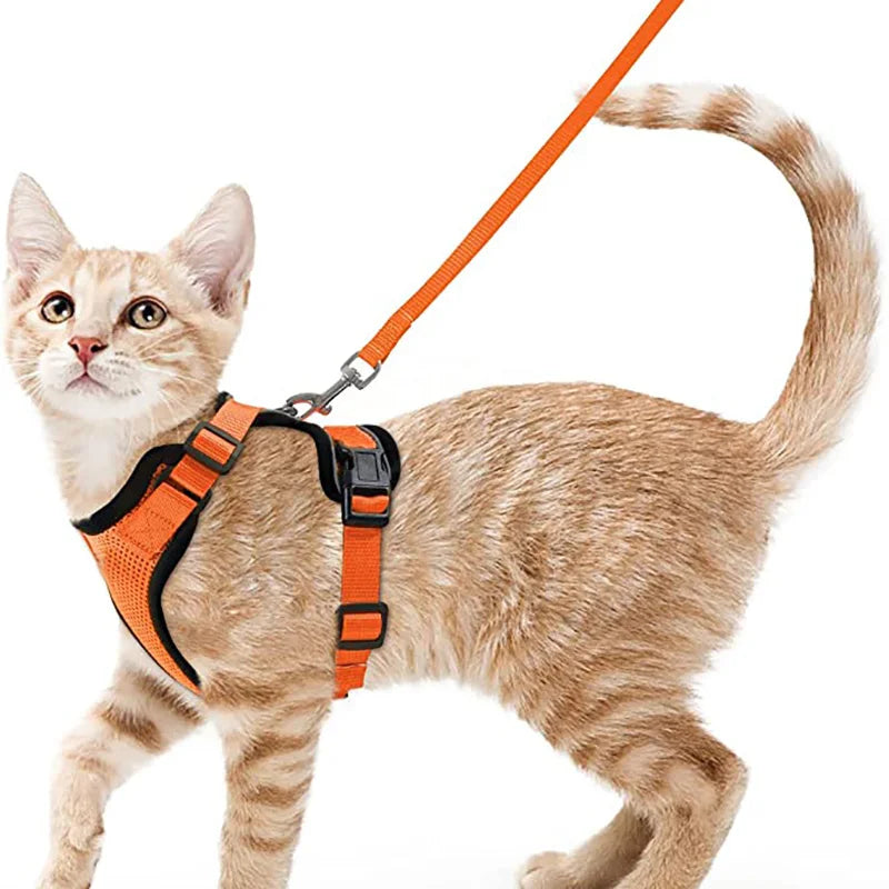 PurrStrap™ – Escape-Proof Adjustable Cat Harness & Leash Set