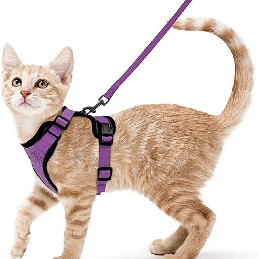 PurrStrap™ – Escape-Proof Adjustable Cat Harness & Leash Set