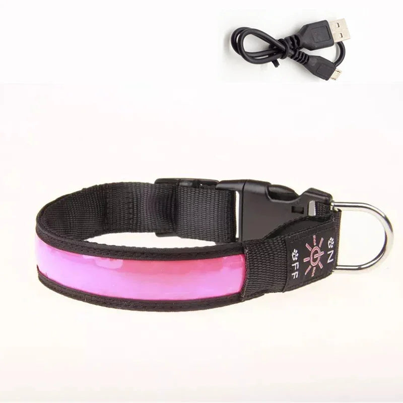 GlowPup™ LED Safety Collar – USB Rechargeable Night Light for Dogs