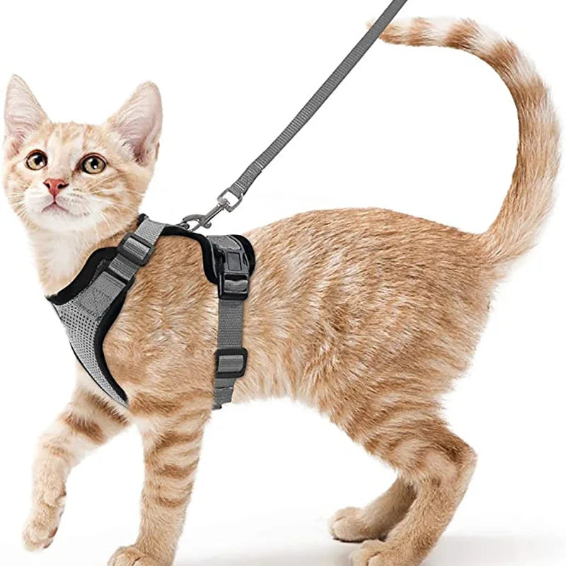PurrStrap™ – Escape-Proof Adjustable Cat Harness & Leash Set