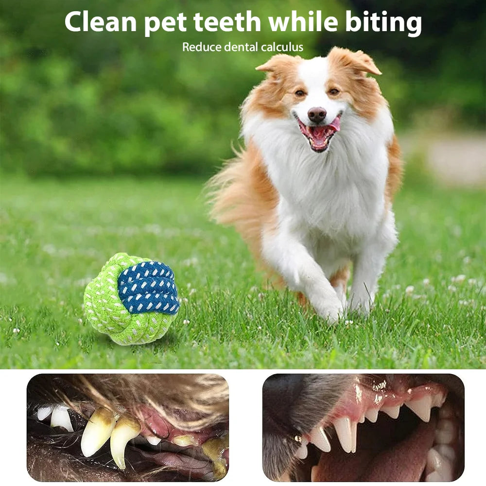 PawPlay™ Dog Toy Mega Pack – 5/10/12-Piece Chew & Tug Toy Set for Active Dogs