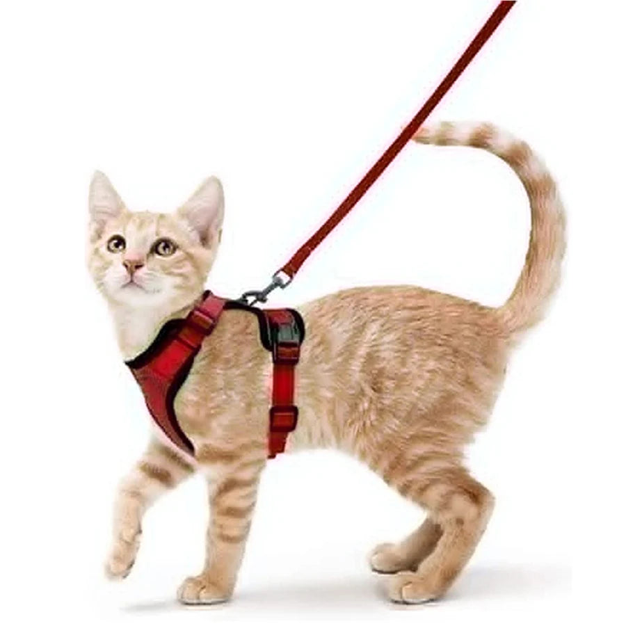 PurrStrap™ – Escape-Proof Adjustable Cat Harness & Leash Set