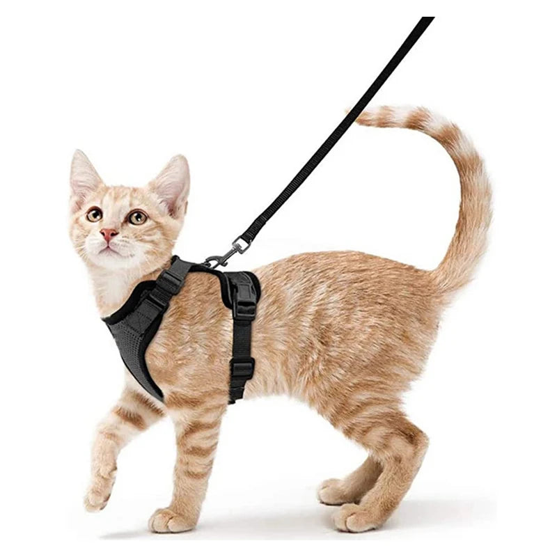 PurrStrap™ – Escape-Proof Adjustable Cat Harness & Leash Set