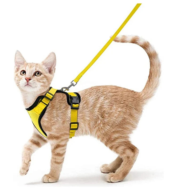 PurrStrap™ – Escape-Proof Adjustable Cat Harness & Leash Set