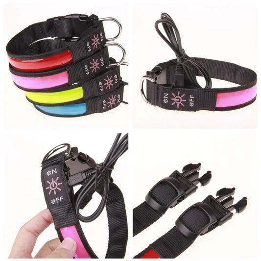 GlowPup™ LED Safety Collar – USB Rechargeable Night Light for Dogs